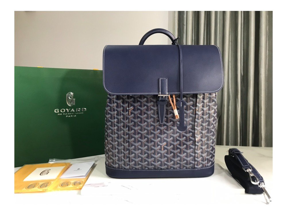 고야드 알팡 백팩