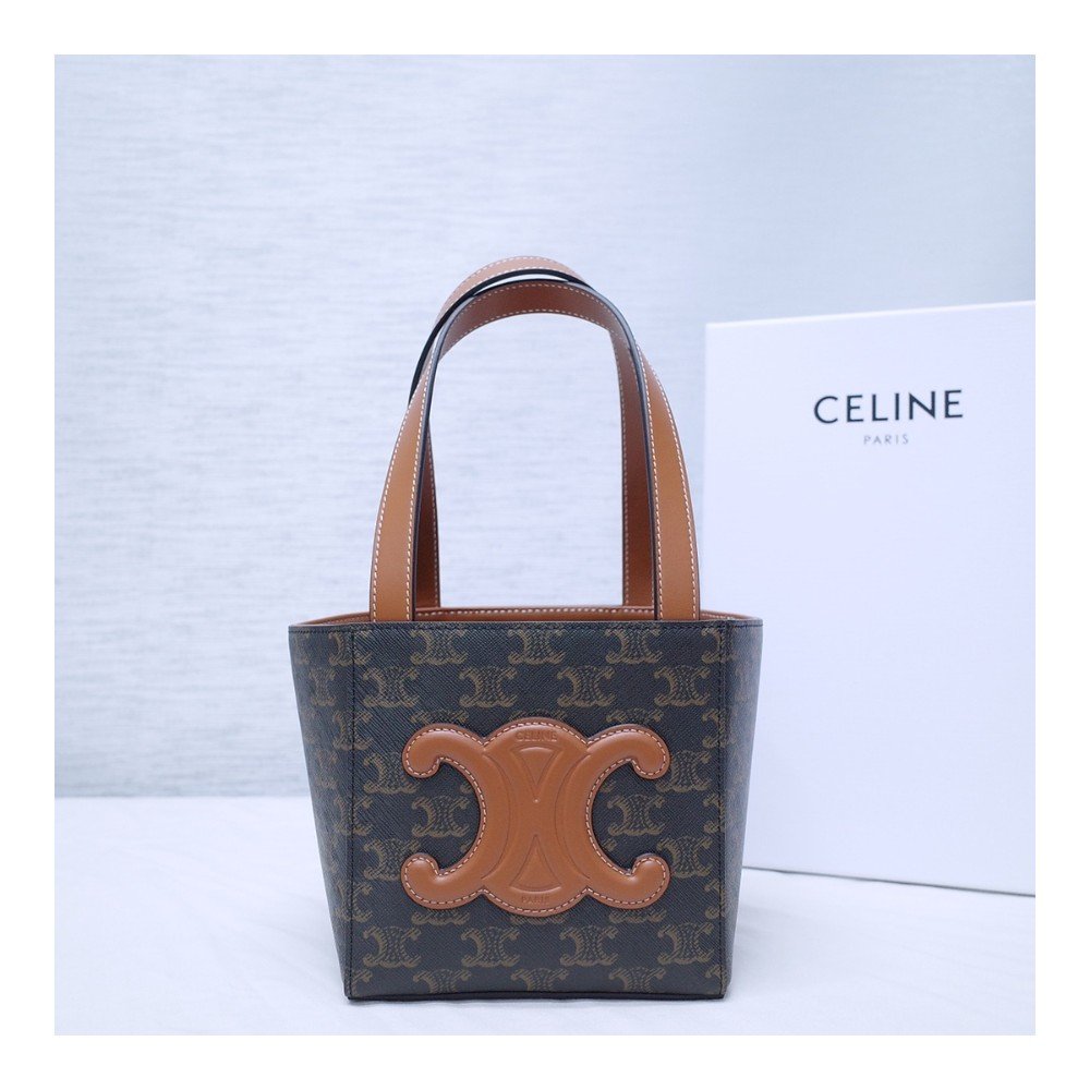 셀린느 트리오페 캔버스 & 카프스킨 큐브백 레더